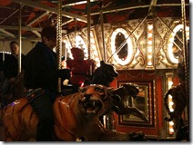 Lily on the Zoo Lights Carousel