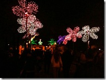 Phoenix Zoo Lights Entrance